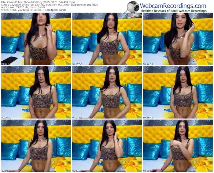 cams-celinny-public-show-08_01_2015-04_44_31