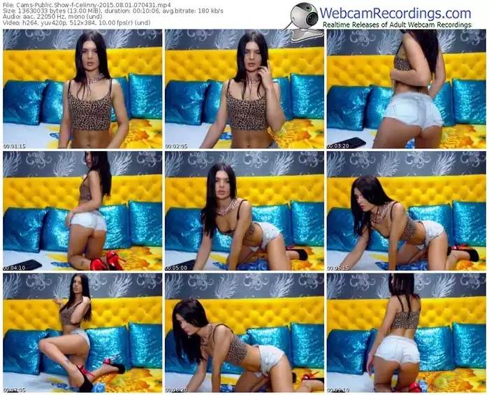 cams-celinny-public-show-08_01_2015-07_04_31