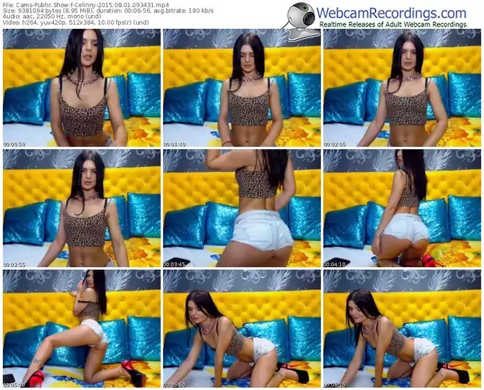 cams-celinny-public-show-08_01_2015-09_34_31