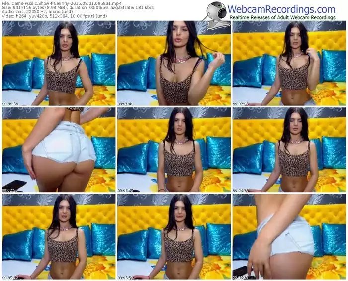 cams-celinny-public-show-08_01_2015-09_59_31