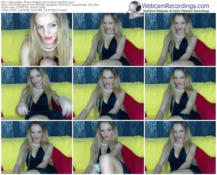 cams-nadys-public-show-08_01_2015-06_49_32