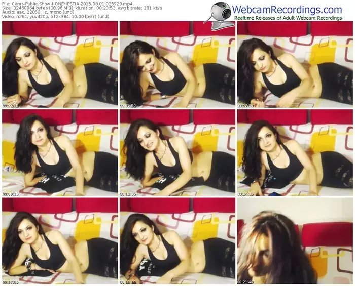 cams-onehestia-public-show-08_01_2015-02_59_29