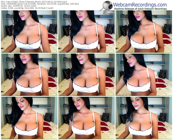 cams-pamela_black-public-show-08_01_2015-01_04_30