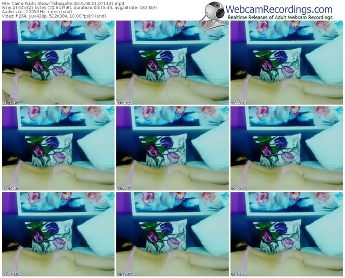 cams-shaquille-public-show-08_01_2015-07_14_31