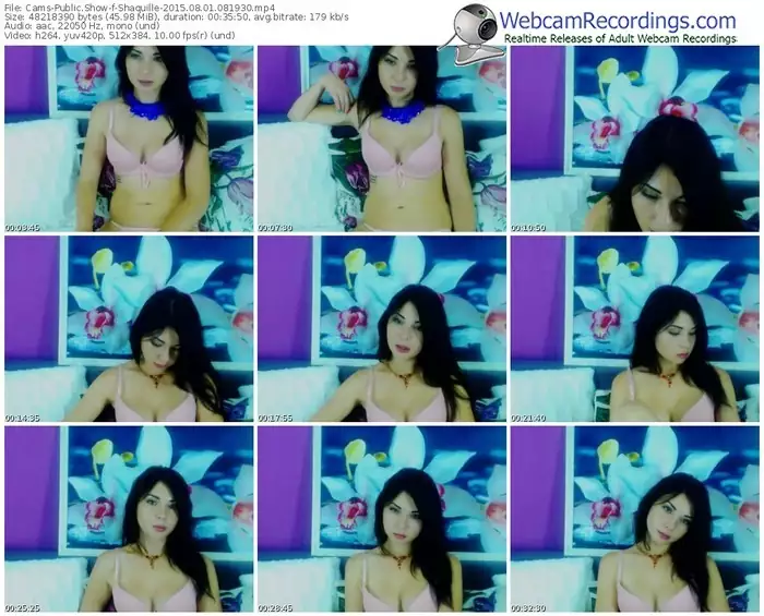 cams-shaquille-public-show-08_01_2015-08_19_30