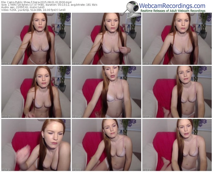 cams-siera-public-show-08_01_2015-01_29_30