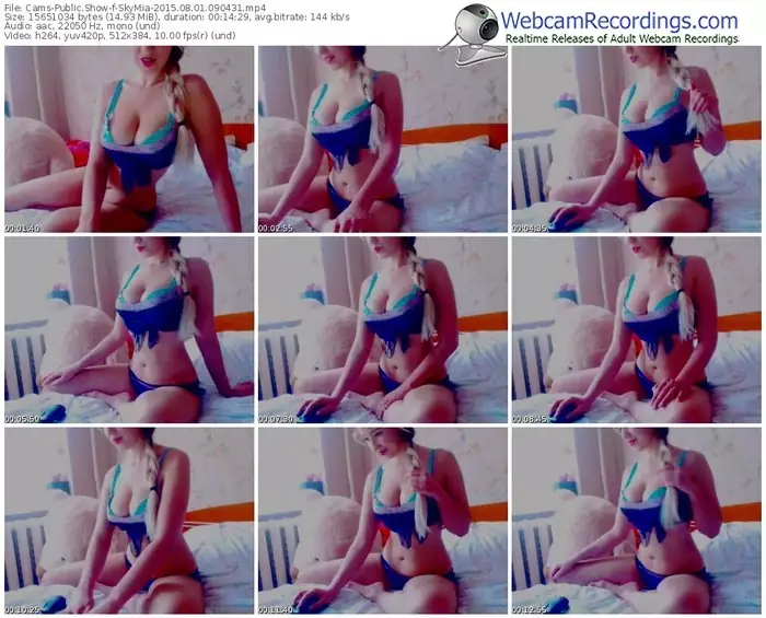 cams-skymia-public-show-08_01_2015-09_04_31