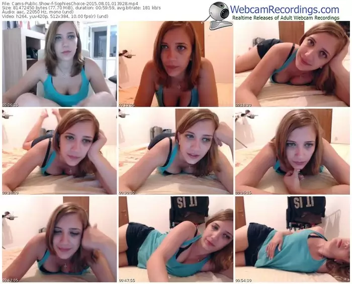 cams-sophieschoice-public-show-08_01_2015-01_39_28