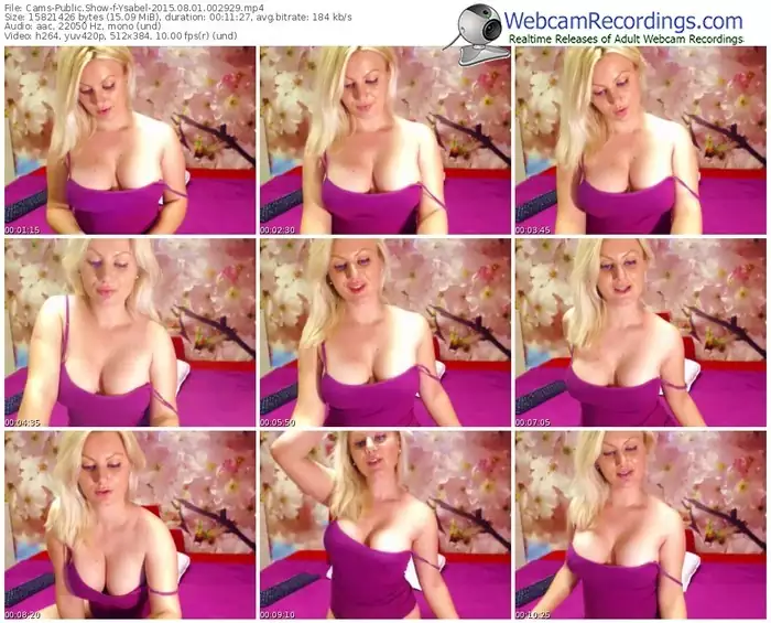 cams-ysabel-public-show-08_01_2015-00_29_29