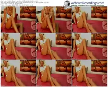 cams-ramitin-public-show-08_01_2015-00_44_30