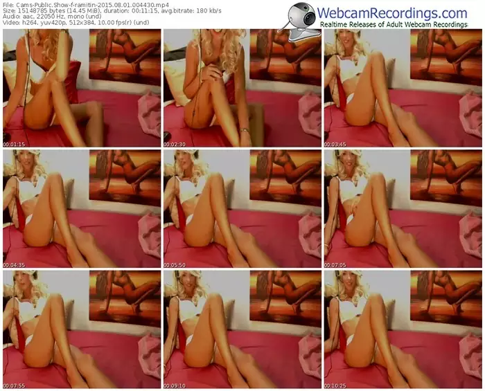 cams-ramitin-public-show-08_01_2015-00_44_30