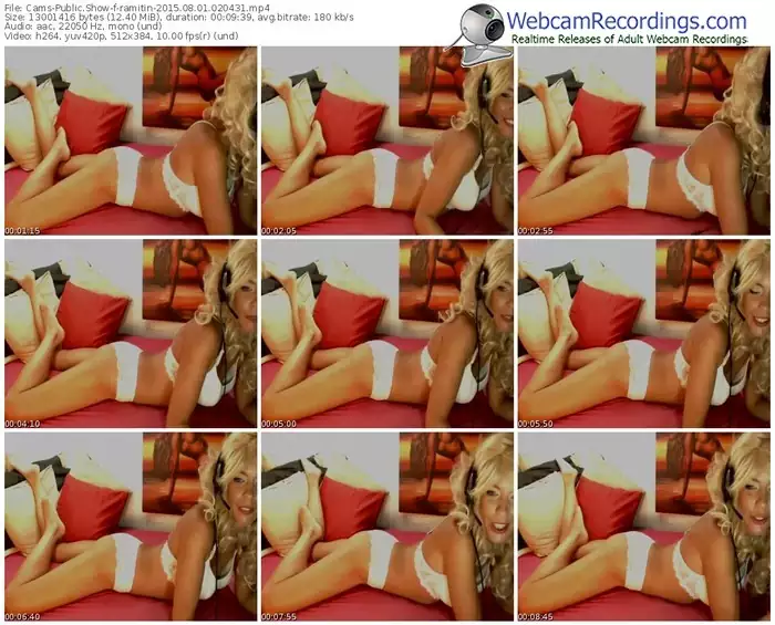 cams-ramitin-public-show-08_01_2015-02_04_31