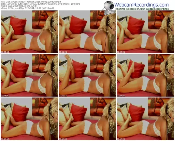 cams-ramitin-public-show-08_01_2015-03_04_30