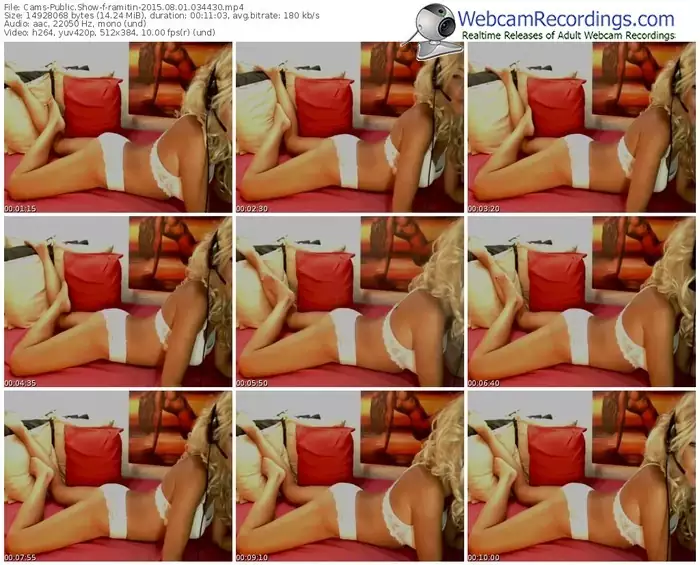 cams-ramitin-public-show-08_01_2015-03_44_30