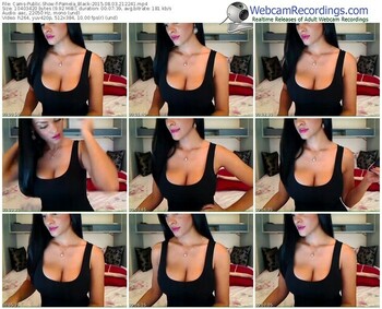 cams-pamela_black-public-show-08_03_2015-21_22_41