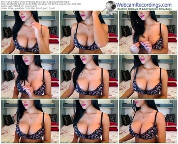 cams-pamela_black-public-show-08_03_2015-23_42_44