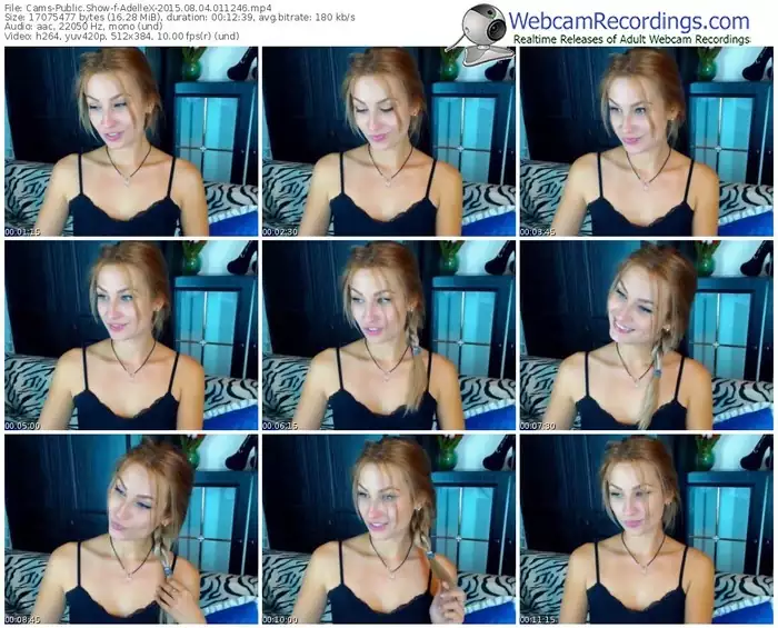 cams-adellex-public-show-08_04_2015-01_12_46