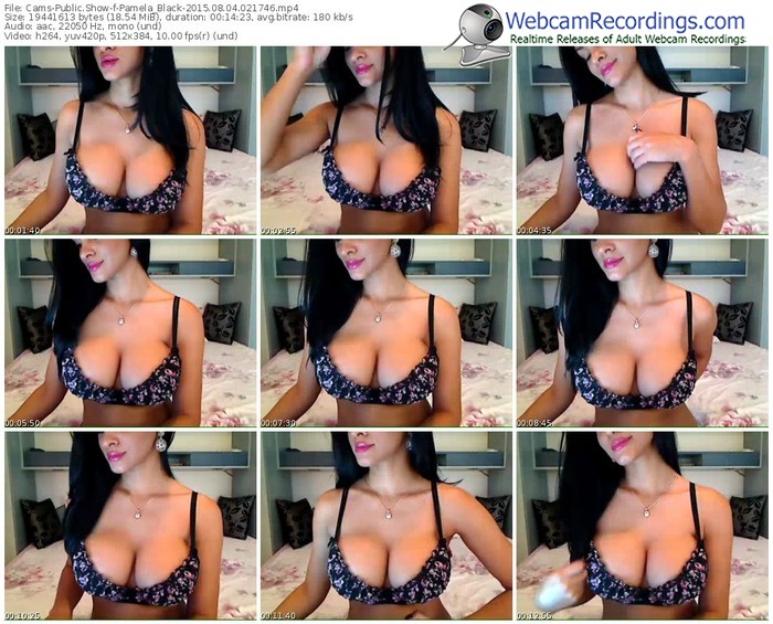 cams-pamela_black-public-show-08_04_2015-02_17_46