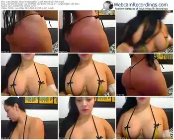 cams-lisawethot-public-show-08_04_2015-03_47_49