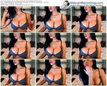 cams-pamela_black-public-show-08_06_2015-22_53_00