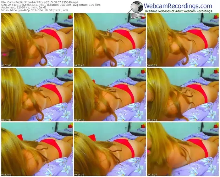 cams-ahhrose-public-show-08_07_2015-23_55_49