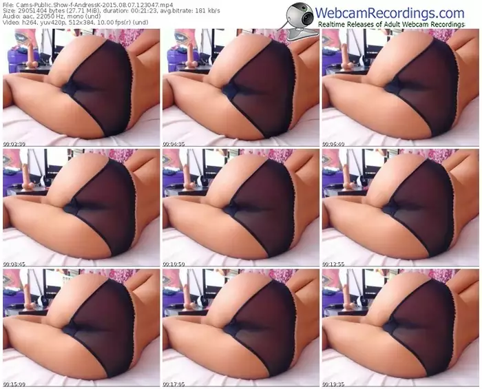 cams-andressk-public-show-08_07_2015-12_30_47