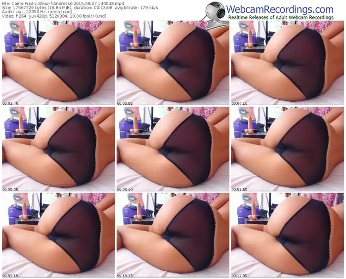 cams-andressk-public-show-08_07_2015-14_00_48