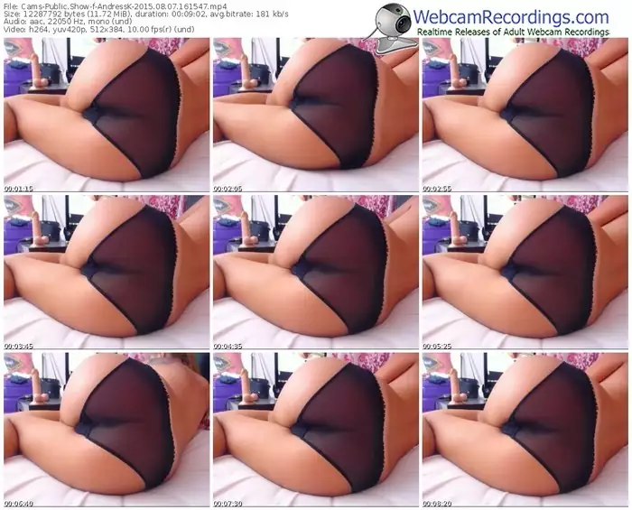 cams-andressk-public-show-08_07_2015-16_15_47