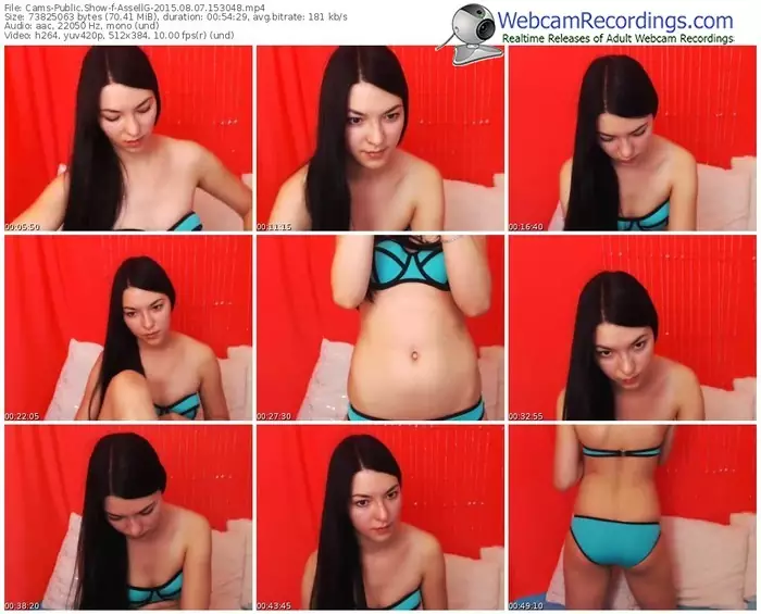 cams-assellg-public-show-08_07_2015-15_30_48