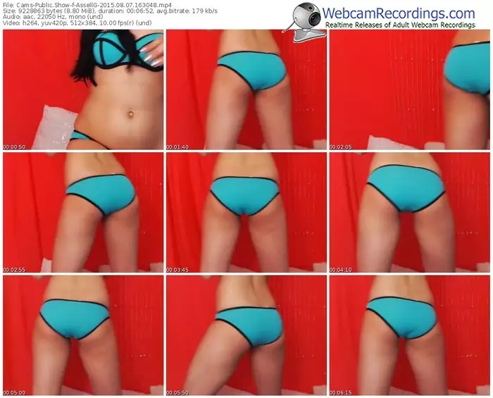cams-assellg-public-show-08_07_2015-16_30_48