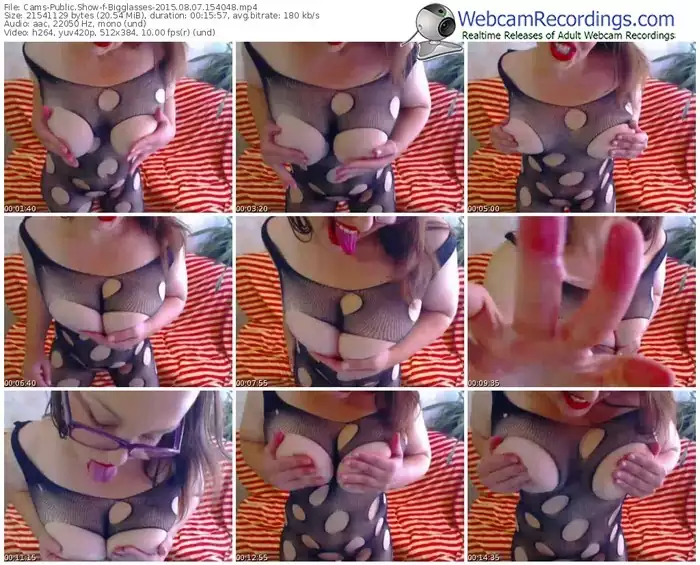 cams-bigglasses-public-show-08_07_2015-15_40_48