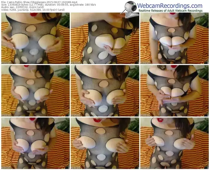 cams-bigglasses-public-show-08_07_2015-19_20_48