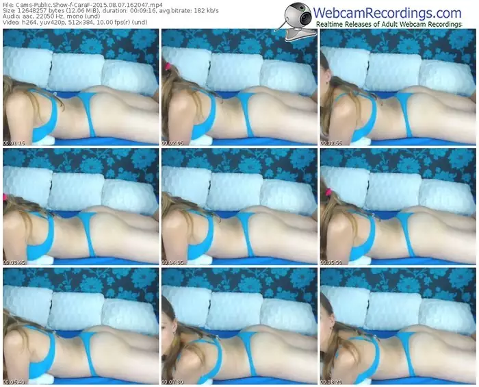 cams-caraf-public-show-08_07_2015-16_20_47