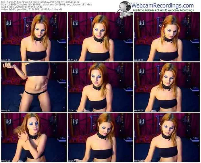 cams-controllabletoy-public-show-08_07_2015-17_00_48