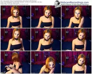 cams-controllabletoy-public-show-08_07_2015-18_10_49