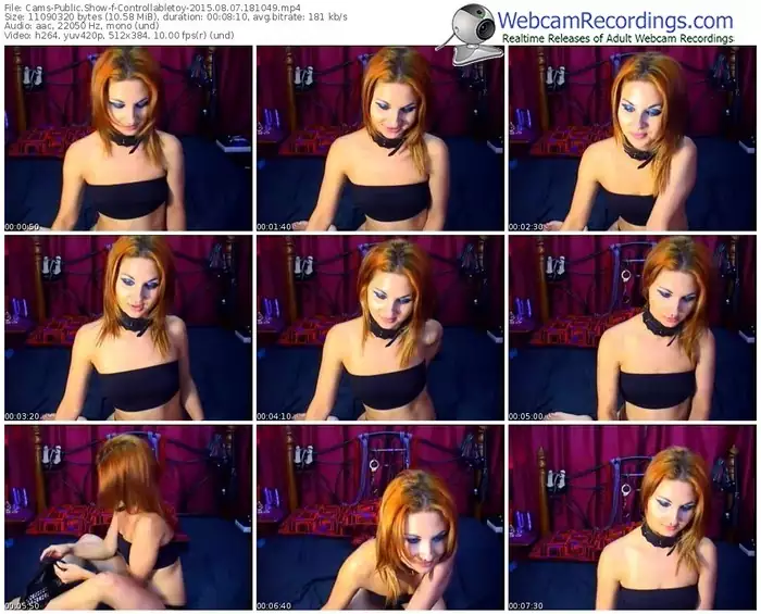 cams-controllabletoy-public-show-08_07_2015-18_10_49