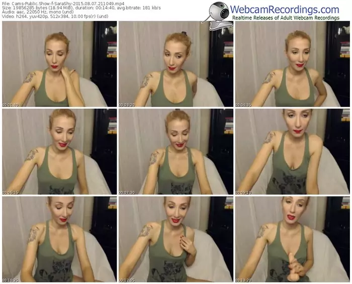 cams-sarashy-public-show-08_07_2015-21_10_49