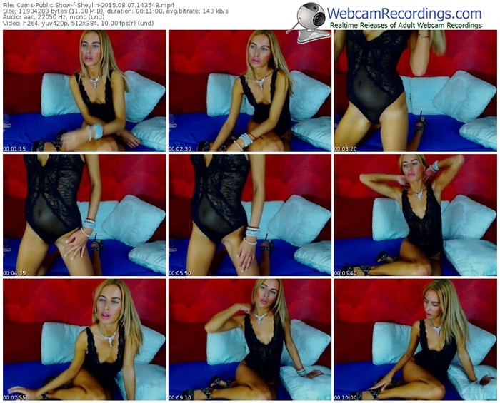 cams-sheylin-public-show-08_07_2015-14_35_48