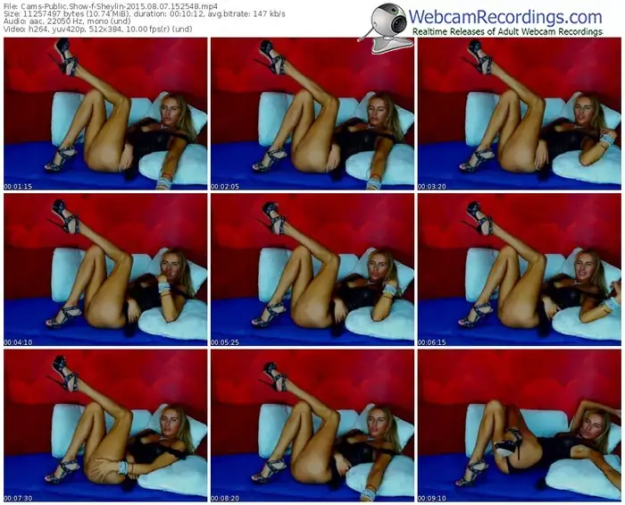 cams-sheylin-public-show-08_07_2015-15_25_48