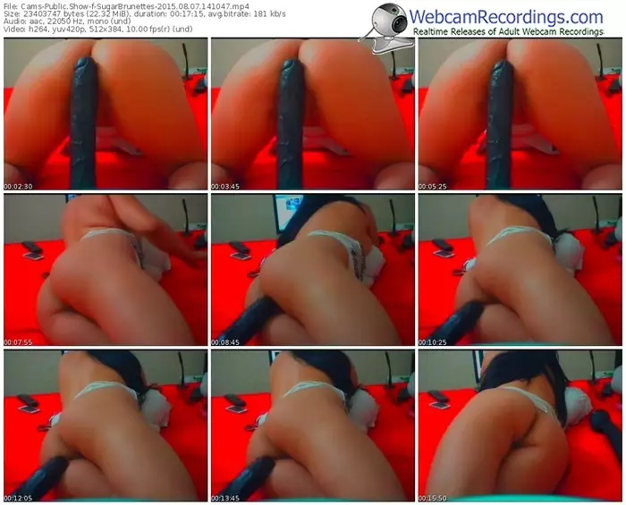 cams-sugarbrunettes-public-show-08_07_2015-14_10_47