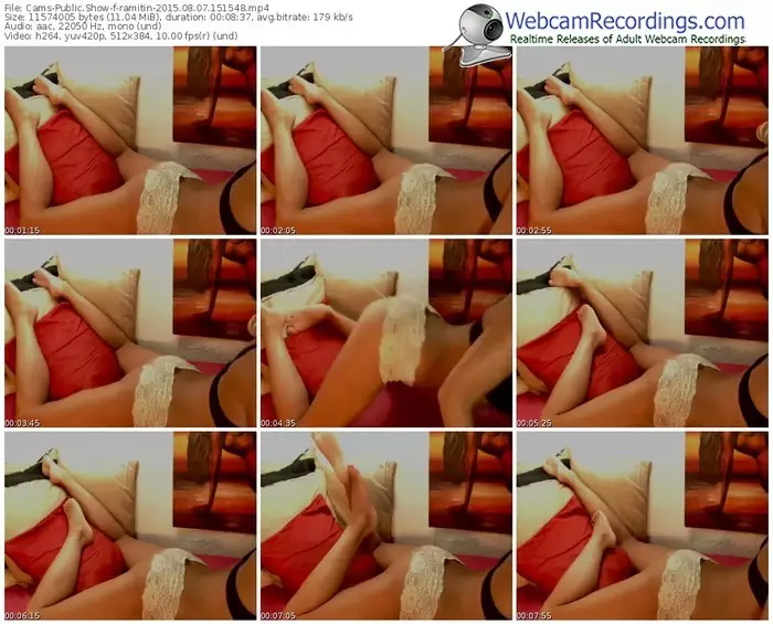 cams-ramitin-public-show-08_07_2015-15_15_48