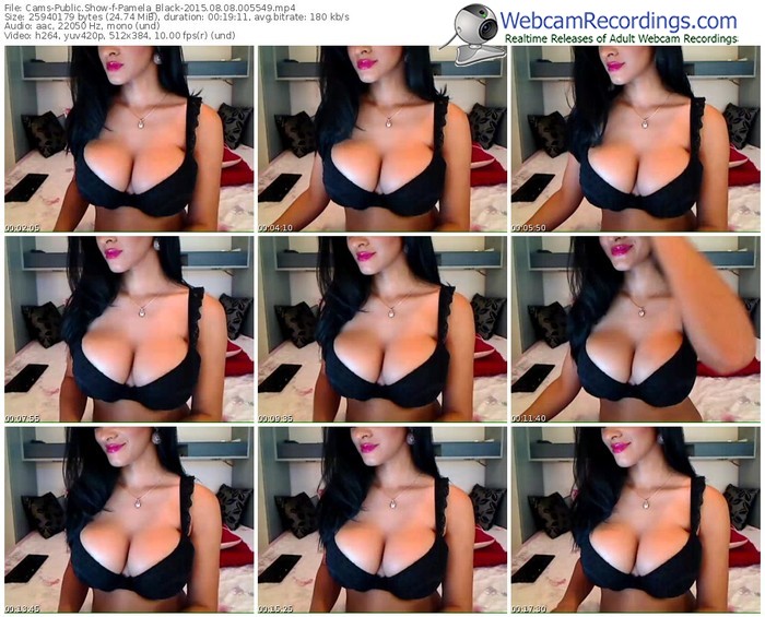 cams-pamela_black-public-show-08_08_2015-00_55_49