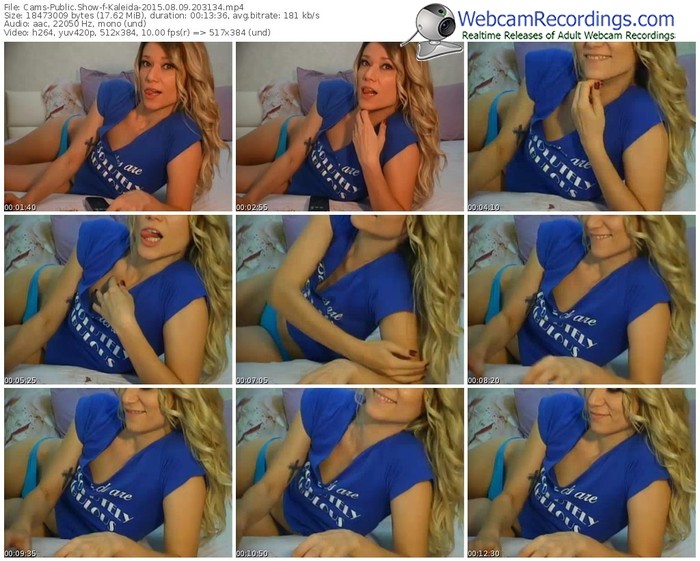 cams-kaleida-public-show-08_09_2015-20_31_34