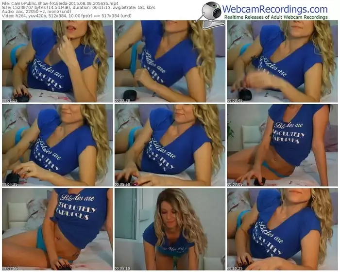 cams-kaleida-public-show-08_09_2015-20_56_35