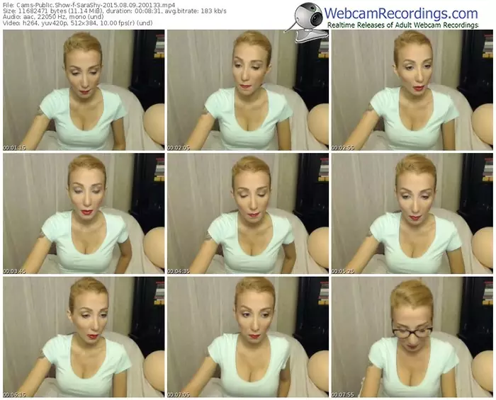 cams-sarashy-public-show-08_09_2015-20_01_33