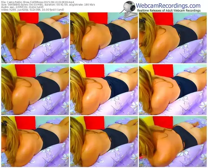 cams-ahhrose-public-show-08_10_2015-01_06_39