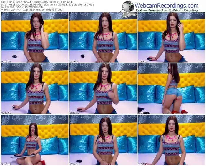 cams-celinny-public-show-08_10_2015-03_56_42