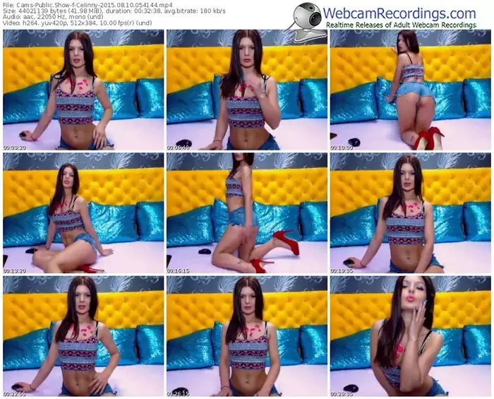 cams-celinny-public-show-08_10_2015-05_41_44