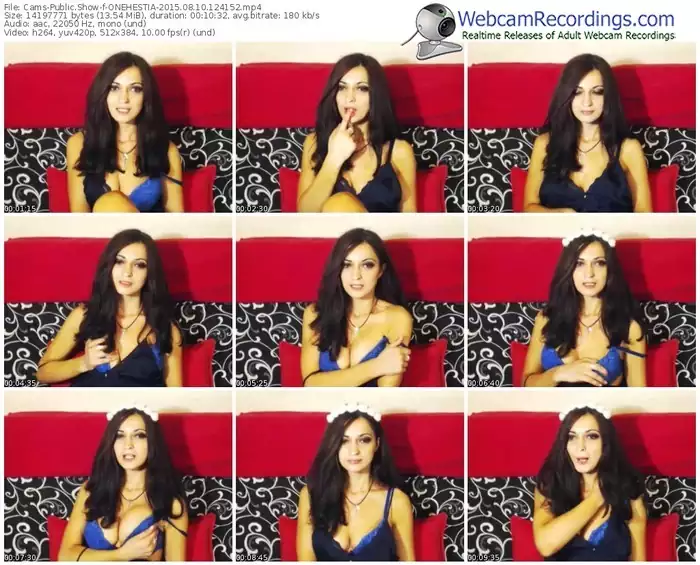 cams-onehestia-public-show-08_10_2015-12_41_52