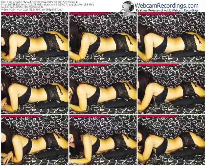 cams-onehestia-public-show-08_10_2015-15_06_55
